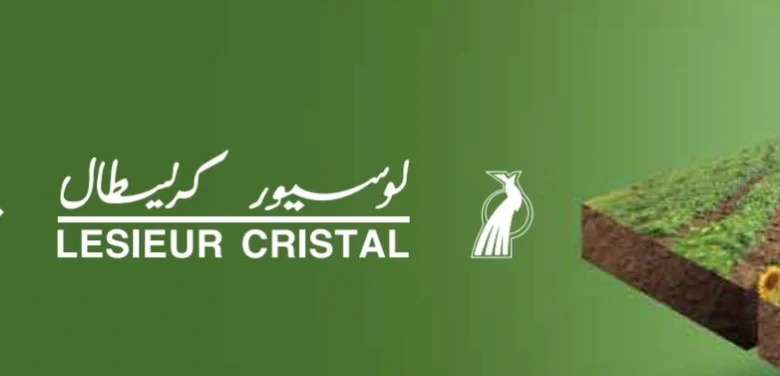 Rejoignez Lesieur Cristal : Opportunités en CDI et en stage à Casablanca